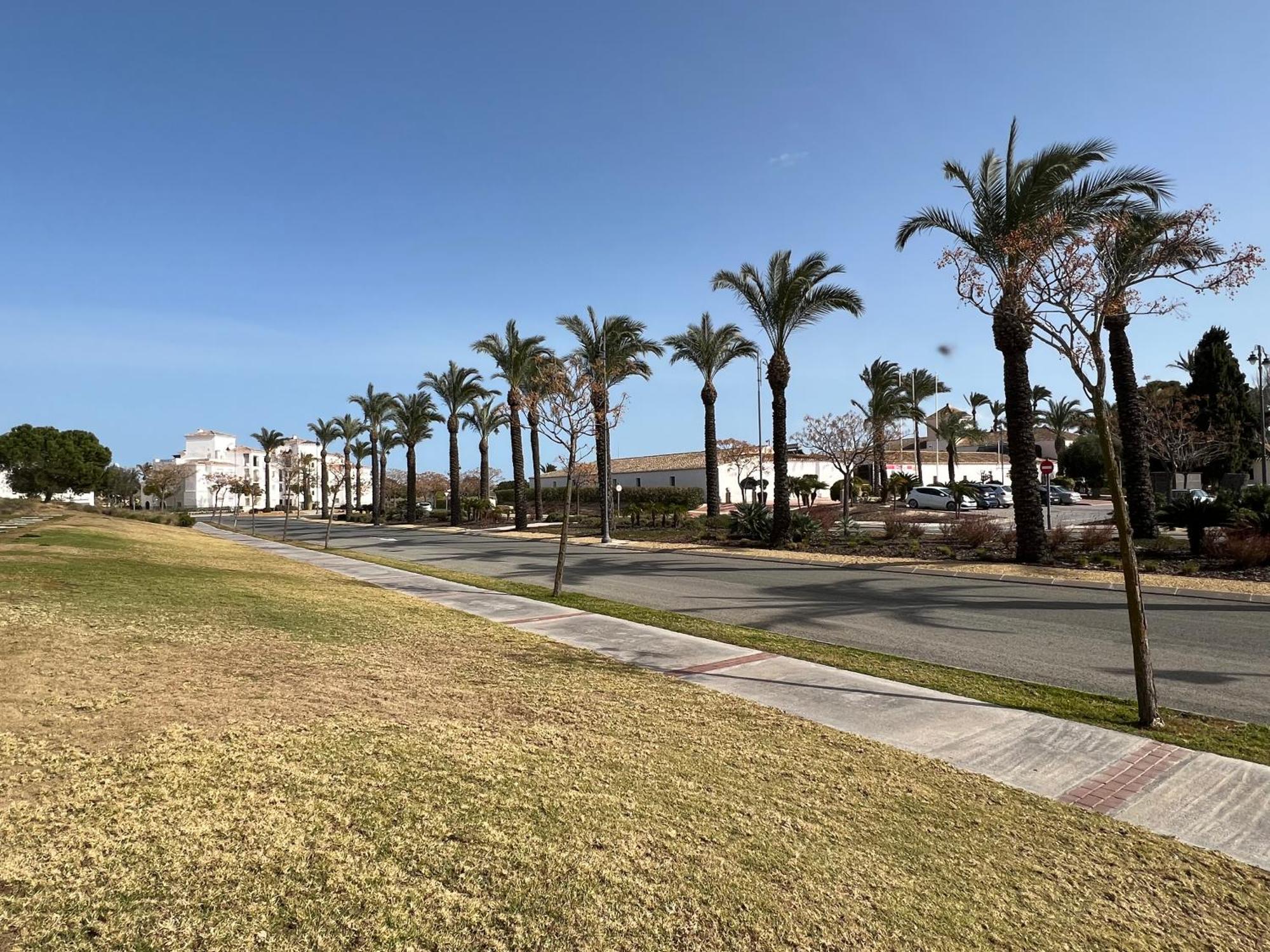 Apartment In Hacienda Riquelme Golf Resort Sucina Εξωτερικό φωτογραφία